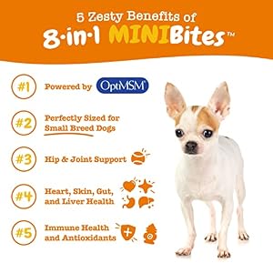 Zesty Paws Multivitamin Treats for Dogs - Glucosamine Chondroitin for Joint Support + Digestive Enzymes & Probiotics - Grain Free Dog Vitamin for Skin & Coat + Immune Health - Chicken - Mini - 90ct Zesty Paws Multivitamin Treats for Dogs – Glucosamine Chondroitin for Joint Support + Digestive Enzymes & Probiotics – Grain Free Dog Vitamin for Skin & Coat + Immune Health – Chicken – Mini – 90ct