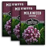 Common Milkweed Seeds for Planting - 3 Packets with Instructions Grow Asclepias Syriaca Wildflowers - Attract Monarch Butterflies & Help Conservation Non-GMO Heirloom Variety - Survival Garden Seeds