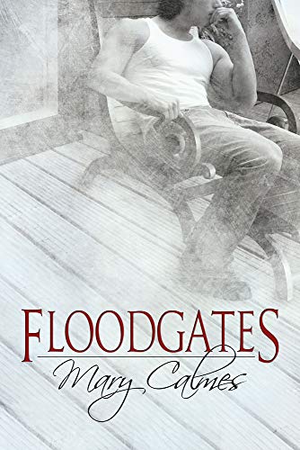 Floodgates view 2