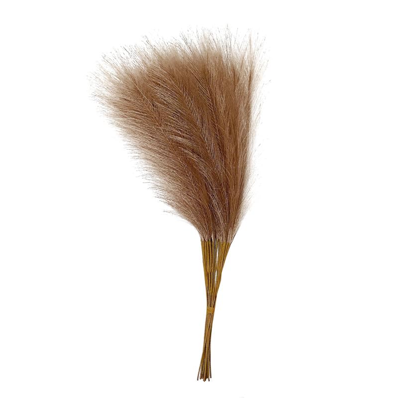 Pampas Grass Large 55CM 10PCS Fluffy Pampas Grass Flower miniatura 1