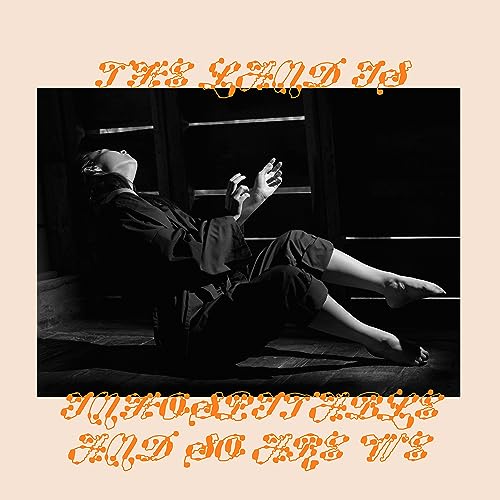 The Land Is Inhospitable and So Are We - Vinyle Rose