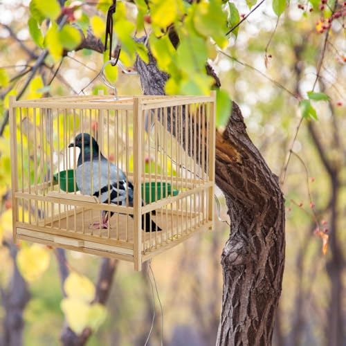 Cage en bambou pour perruches et calopsittes idéale pour embellir votre terrasse - 5