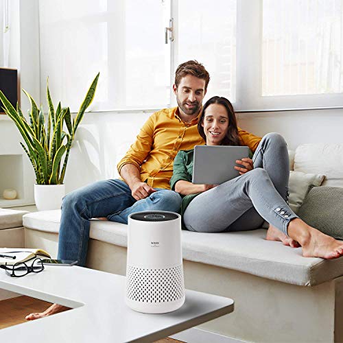 WINIX A332 Purificateur d'air pour allergies et PM2,5, CADR 228 m³/h, 45 m², filtre 99,97% du pollen, des allergies, de la poussière, de la fumée, contrôle de la qualité de l'air, mode auto – Image 6