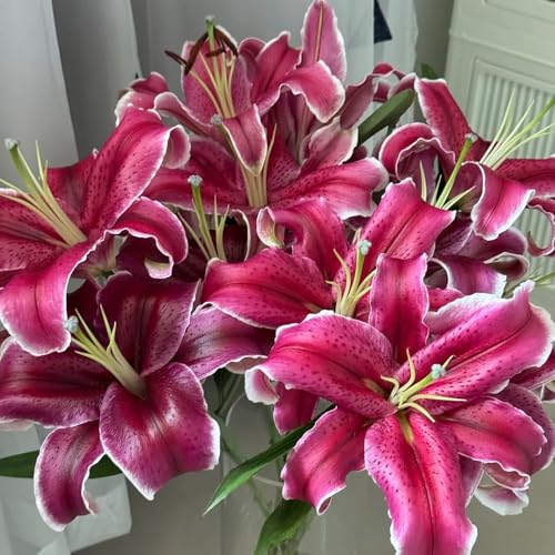 Bulbi di giglio resistenti, decorazione del balcone, giardino 4pcs