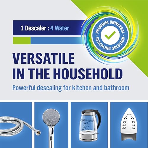 WoldoClean Descaler Solution