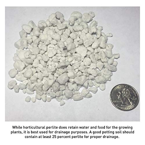 PVP Organic Perlite Planting Soil Additive - Image 4