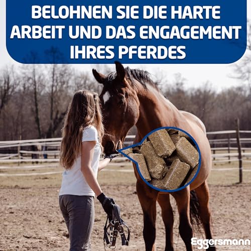 Eggersmann Mein Pferdefutter 25kg Pferde-Leckerlis | Lecker Bricks für Pferde & Ponys | Natürlicher Kräuter-Geschmack | Perfekt als Belohnung & für zwischendurch | Pferde-Zubehör