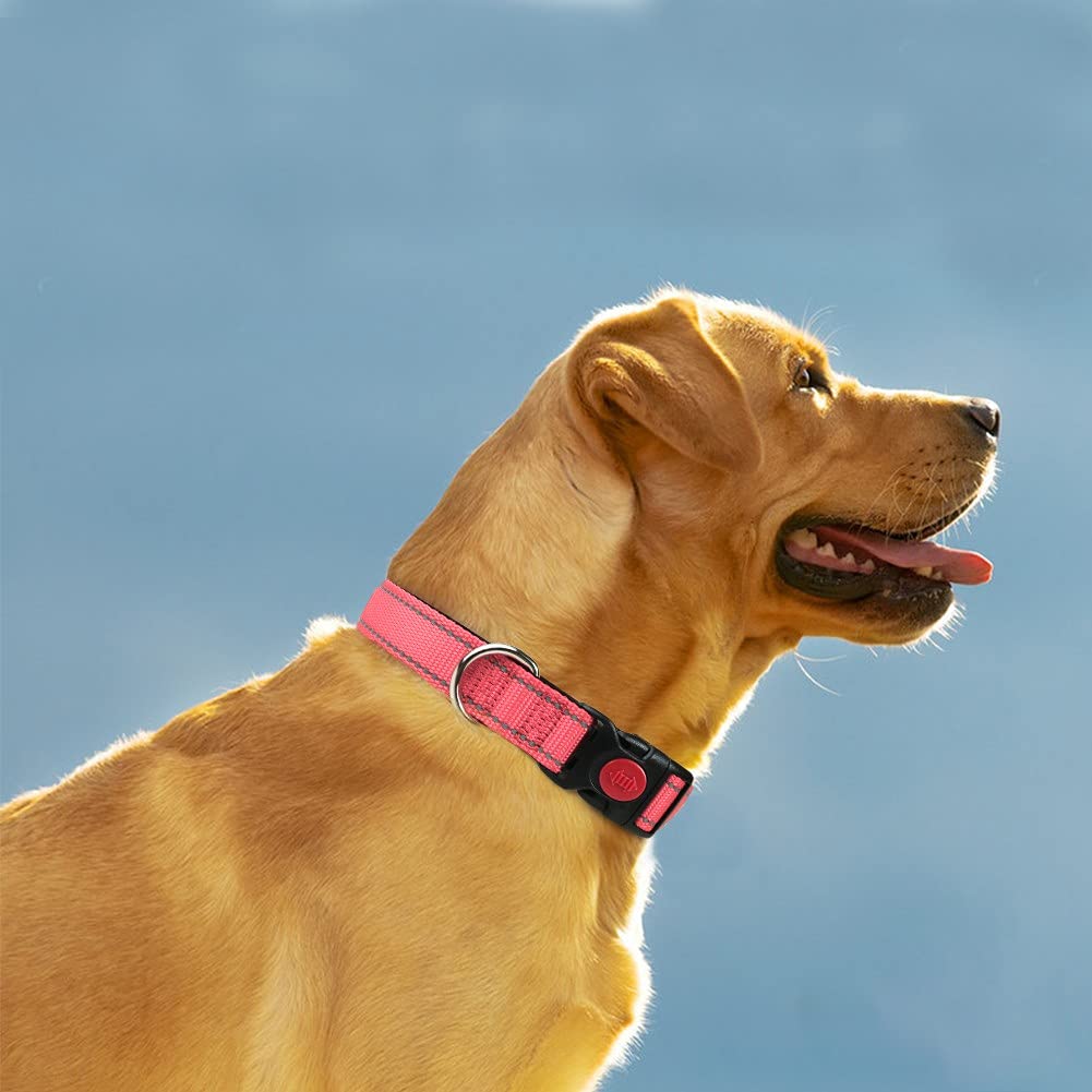 Taglory Collare per Cani, Imbottito Nylon Regolabile Traspirante Riflettente Collari per Cani di Taglia Extra Grande, Rosa