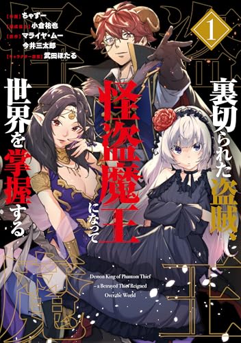 裏切られた盗賊、怪盗