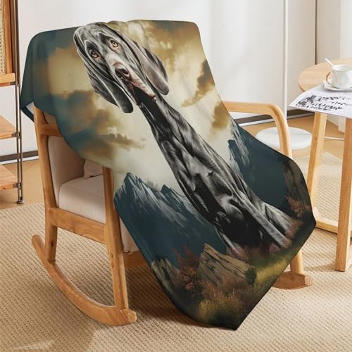 Manta de franela para perro 150x200 cm suave y cálida para el sofá 8