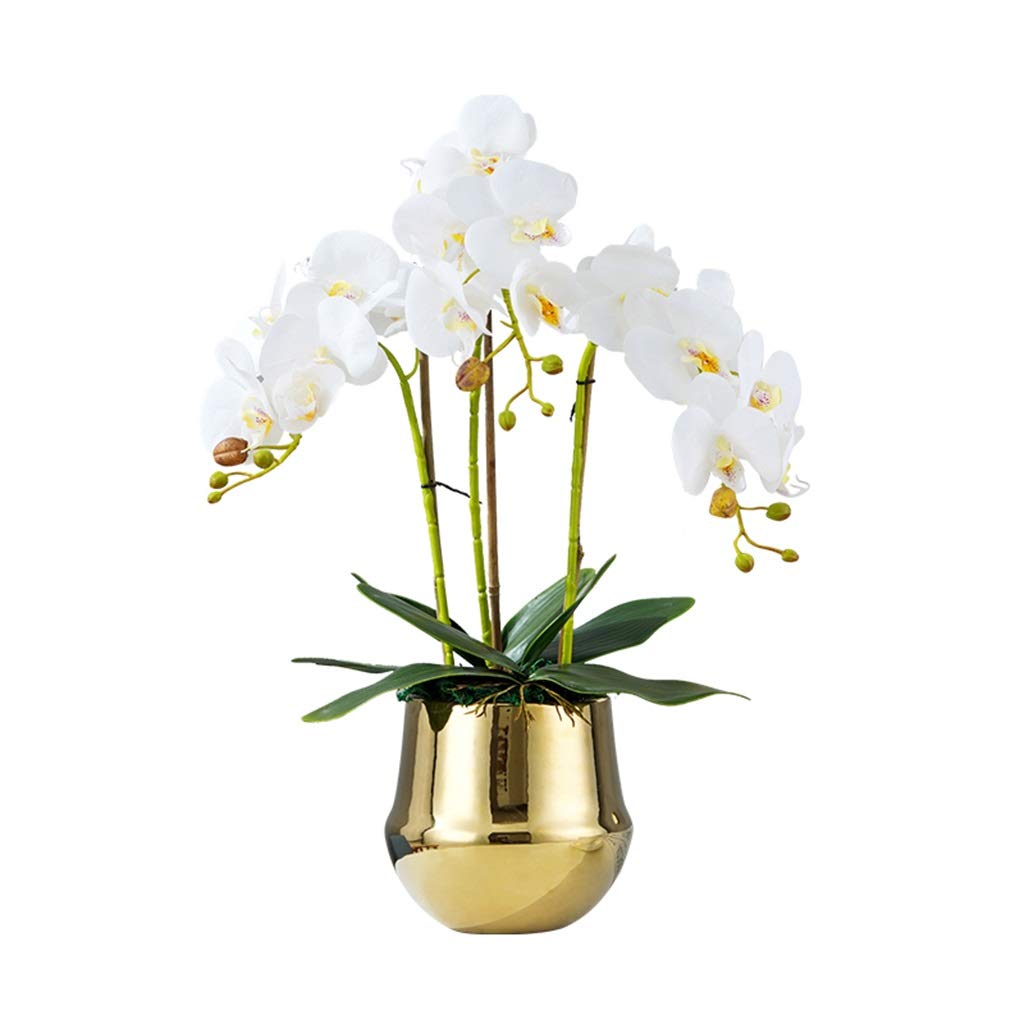 AYCDL Artificial Flowers Orchids Potted - Real Feeling Texture Faux Phalaenopsis Flowers Decoration with Ceramic Vase Decorate for Home/Kitchen/Bedroom/Dining Table Centerpiece