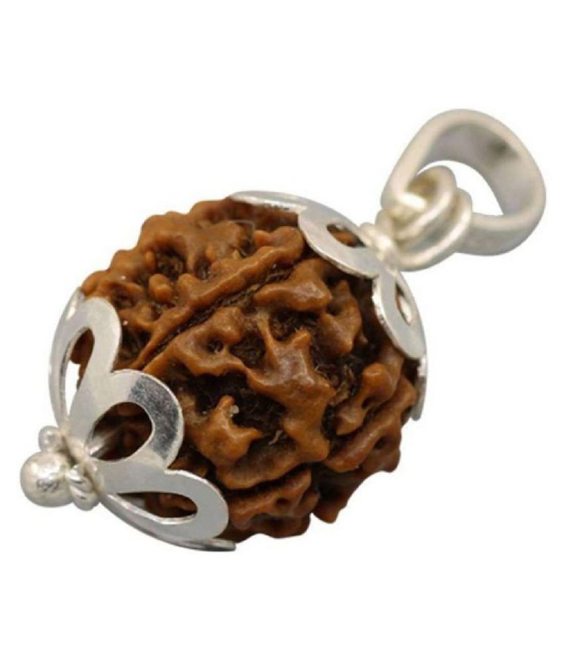 7 Mukhi/Faced Nepali Rudraksha with Silver Pendant | Natural & Certified Brown