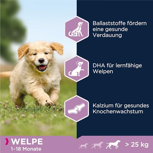Eukanuba Welpenfutter mit Lamm & Reis für große Rassen - Trockenfutter für Junior Hunde, 2,5 kg