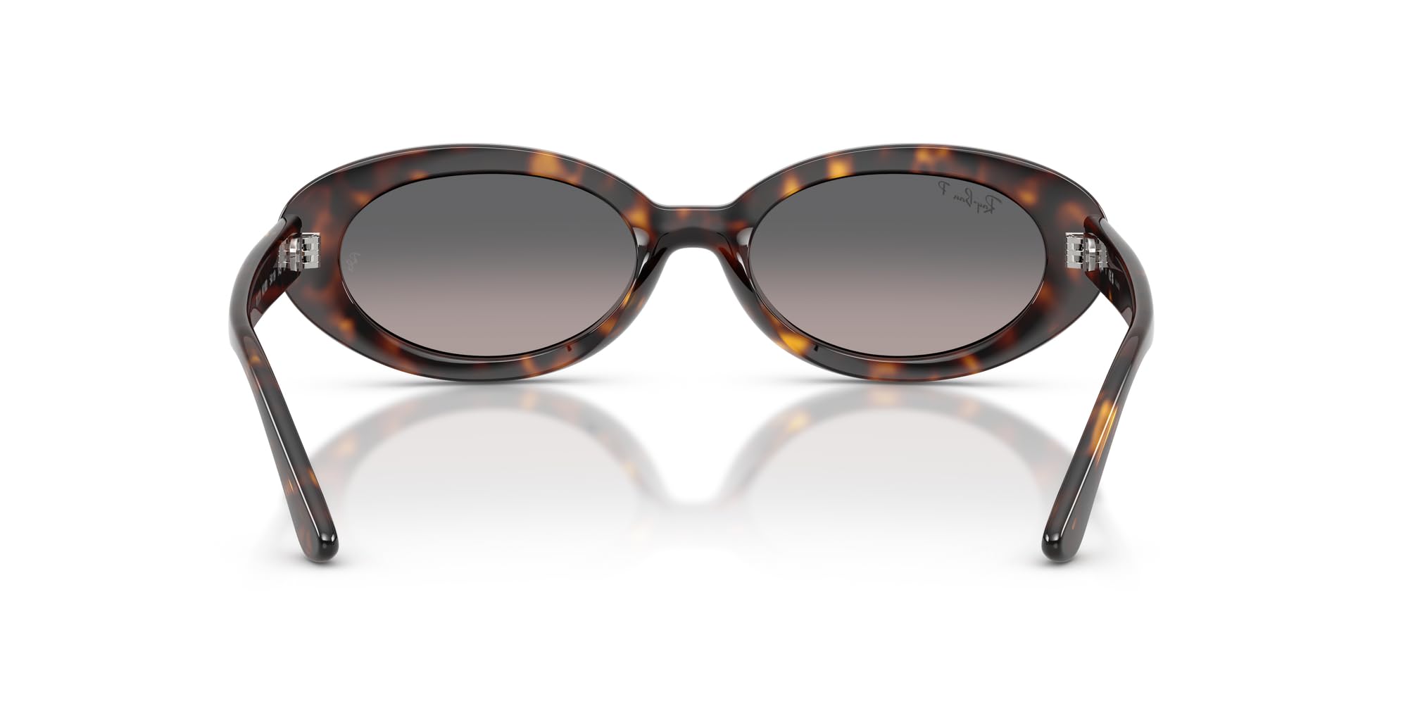 Ray-Ban EVOLUTION - Occhiali da sole da donna