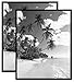 MCS Original Poster Frame 16x20 Black Lightweight Vertical & Horizontal Wall Hanging Large Picture Frame for Posters, Art Prints & Gallery Wall (2-Pack)