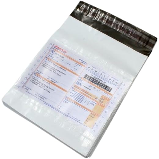 Securement Courier Bag 10x12 (Pack of 100)