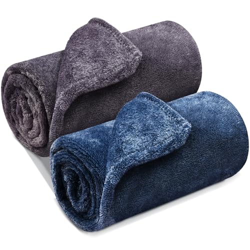 Honsaifau Dog Blanket Washable for Puppy: Fluffy Soft Small Pet Throw for Cat Puppy Kitten Dogs - 50x70cm 2 Packs Pet Blankets for Sofa Bed Car Indoor - Purple and Blue