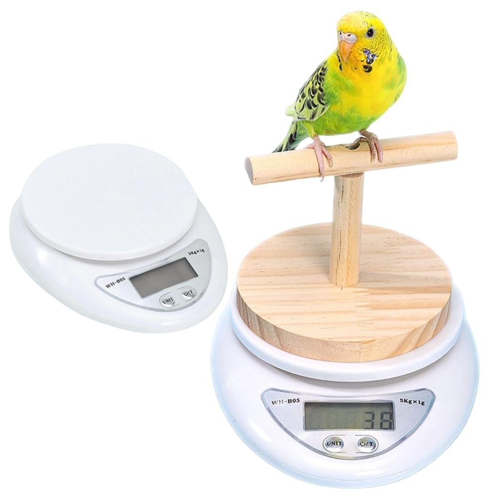 【インコ飼育フルセット】温度管理・体重計付き／初心者OK／すぐ飼育可能 Amazon | 小鳥用 高精度体重計 0.1g計測 小鳥の体重計 インコ セキセイ