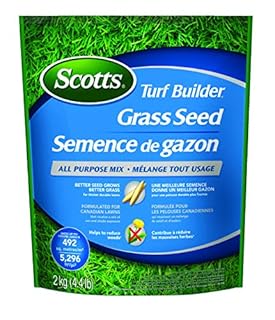 Scotts Turf Builder Grass Seed All Purpose Mix 2Kg (492 sq meters / 5,296 sq feet coverage) | Sun & Shade formula for a thick, green lawn