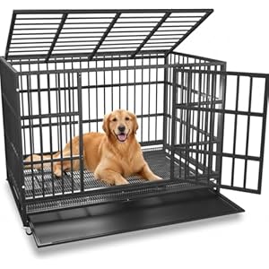 KOKOTANGS 48 Inch Heavy Duty Dog Crate Cage with Wheels, Indestructible and Escape Proof Steel Kennel Indoor for High Anxiety Dogs with Sturdy Locks, Double Door and Tray, Extra Large XL XXL, Black
