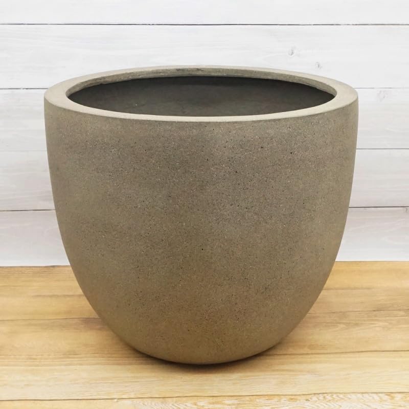 観葉流木付け アスプレニウム マドカズラ シンゴニウム スイカぺぺ