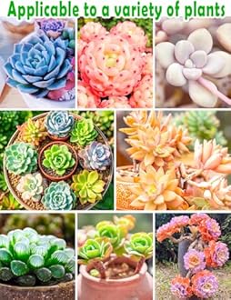 TOYPOPOR Succulent Soil, Cactus Potting Mix 6 Pounds/3QTS, High Drainage, Pre-Mixed Ready to Use for All Succulent Varieties, Indoor Plants, Bonsai, Terrarium, Houseplant, 70% Particles 30% Soil