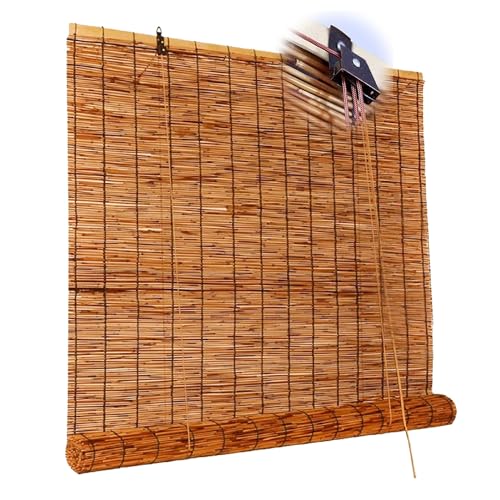 VÂ 74 88 96 100 176cm  80 90 112 157 180 200 220cm  | ډB O/p |[[uCh  a IVR   (F : A, TCY : 176x1