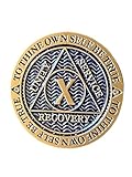 10 Year AA Medallion Reflex Antique and Blue Color Bronze Chip