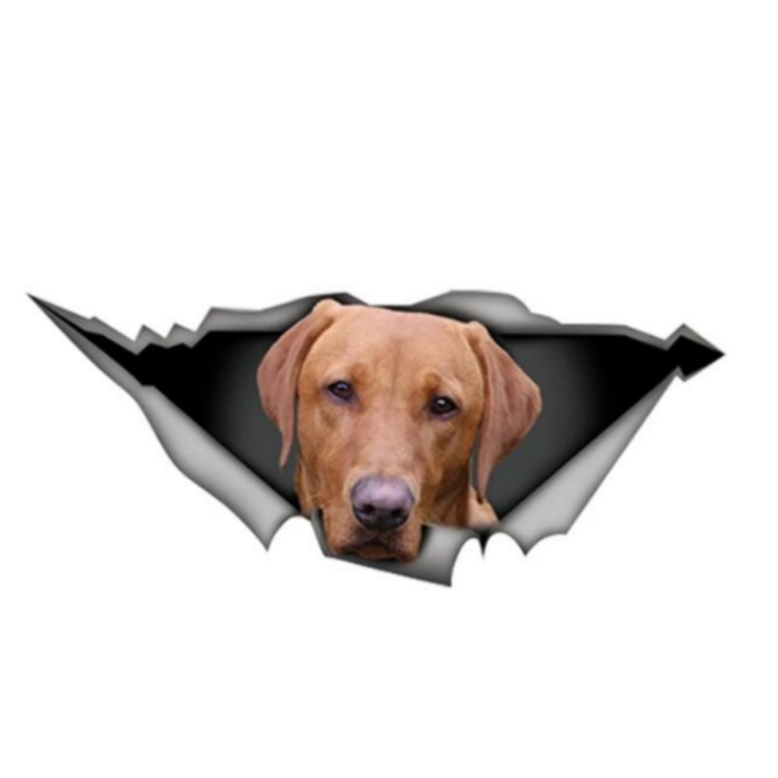 Französische Bulldogge Aufkleber, 3D Zerrissener Effekt, Was