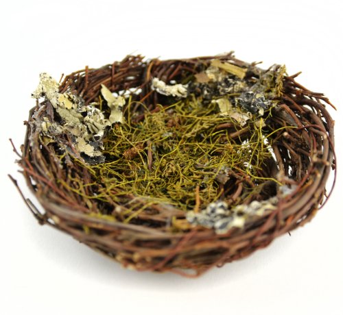Touch of Nature 1-Piece Artificial Bird Nest with Moss for Arts and Crafts