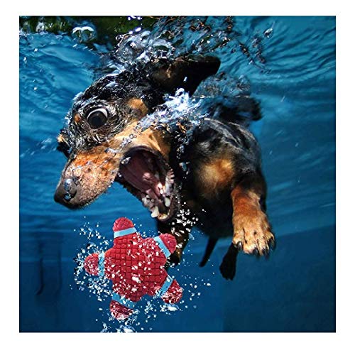 Image of EETOYS Petlicious and More Dog Latex Squeaky Star Toy (Medium)