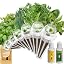 Kitchens Herb