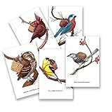 Stunning Bird Postcard Prints - Assorted number 1. Prints from Unique Original Paintings by Jada Fitch. 4x6, 2 each of 5. From the Basket Bird Series. Great Mother's Day Gifts.