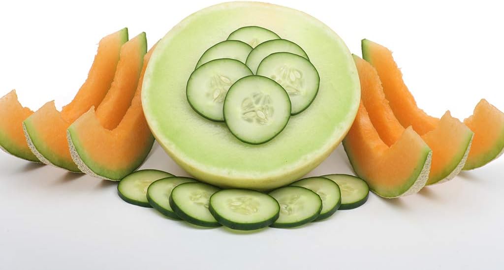 Cucumber Melon Fragrance Oil 16 oz Bottle Premium Grade for Candle and Soap Making by Midway Mercantile