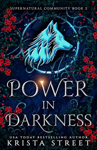 Power in Darkness book cover