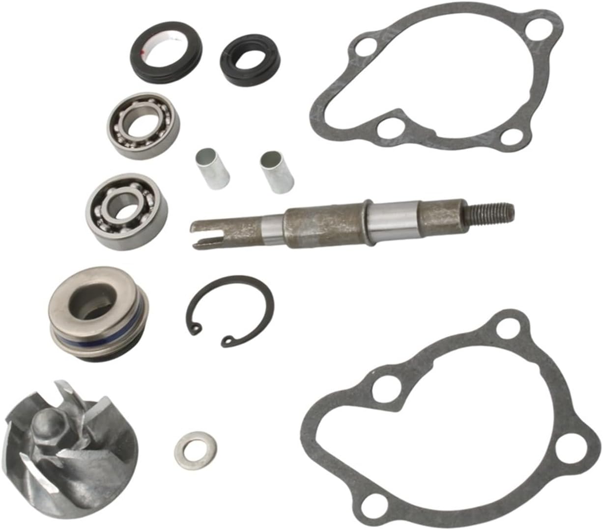 Water Pump Repair Kit For GTS250 GTS300
