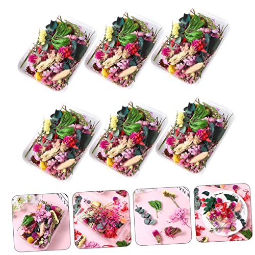 Flores Secas para Manualidades Decorativas Epoxi miniatura 3