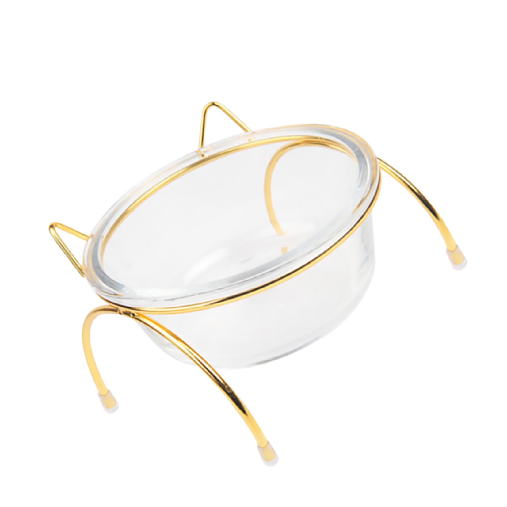 Gamelle verre surélevée inclinée chat et chien Savorial bol alimentaire ergonomique sur pied