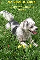 My Name Is Chloe 152273399X Book Cover