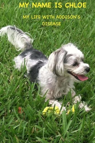 My Name Is Chloe 152273399X Book Cover