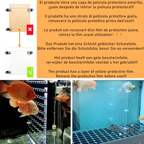 bangminda Aquarium Trennwand Aquarium Tank Trennung Brett Isolation Acryl Gitter Fisch Tank Isolation Divider Fischseparator Transparente Platte mit Saugnap (40x30 cm)