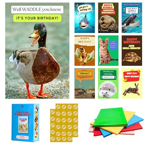Imperial Designs 40 Pack Funny Punny Birthday Cards with Envelopes
