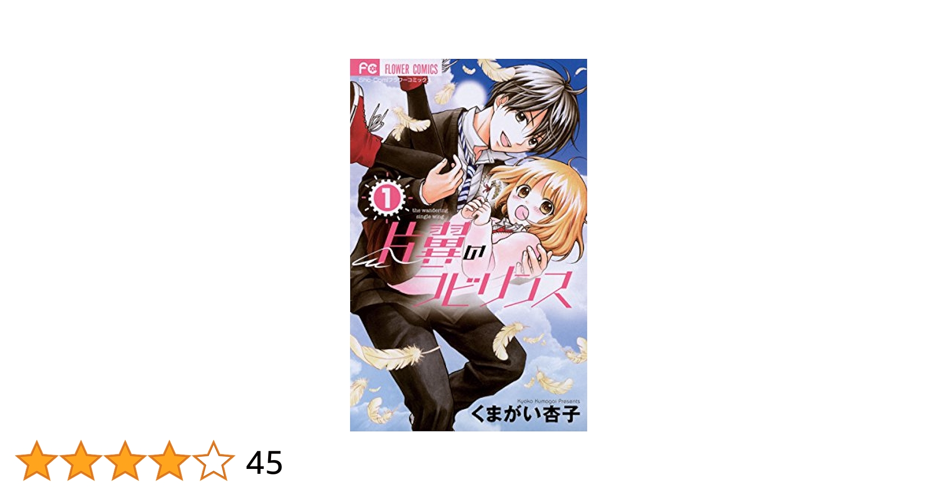 片翼のラビリンス = the wandering single wing 片翼のラビリンス = the wandering single wing 片翼の
