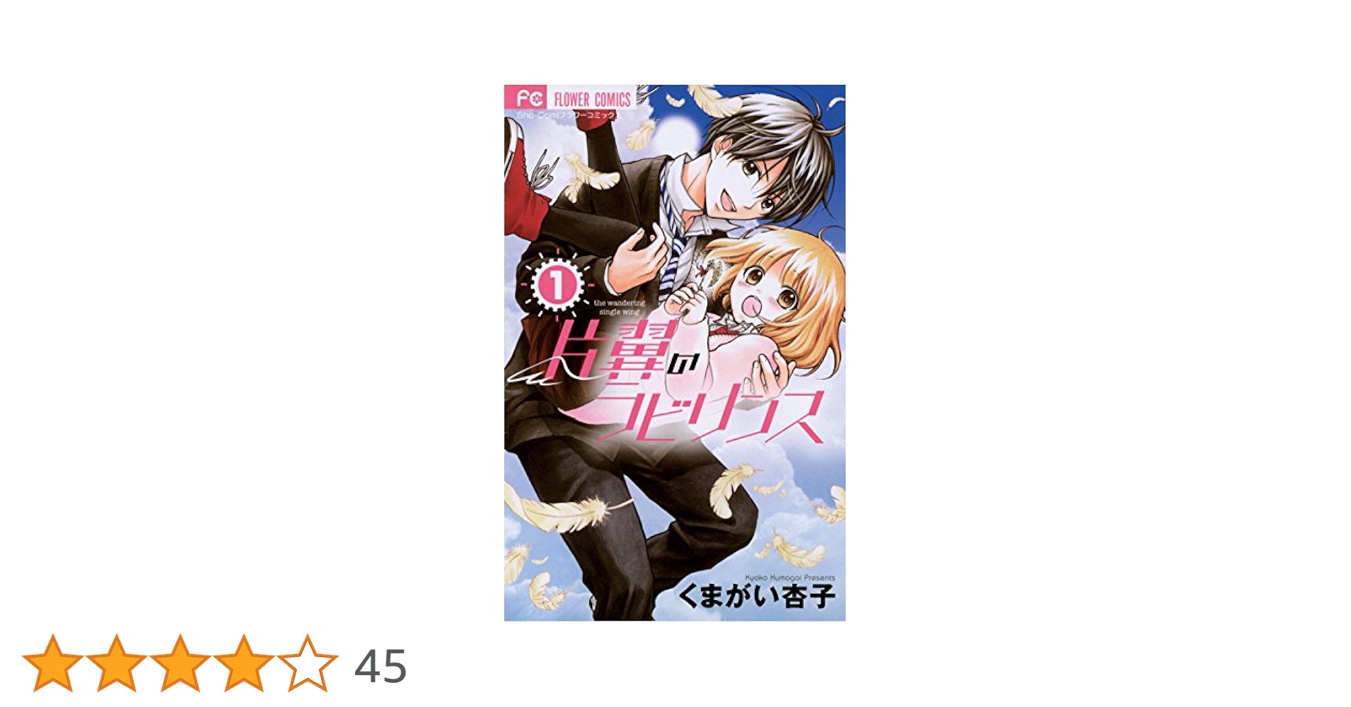 片翼のラビリンス = the wandering single wing 片翼のラビリンス = the wandering single wing 片翼の
