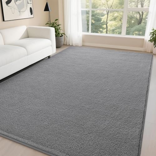 DweIke Modern Area Rugs for Living Room Bedroom, 4x6 Grey Thickened Memory-Foam Throw Carpet, Super Soft Kids Boys Girls Rug, Non-Slip and Washable Carpets for Dorm Nursery Classroom Decor