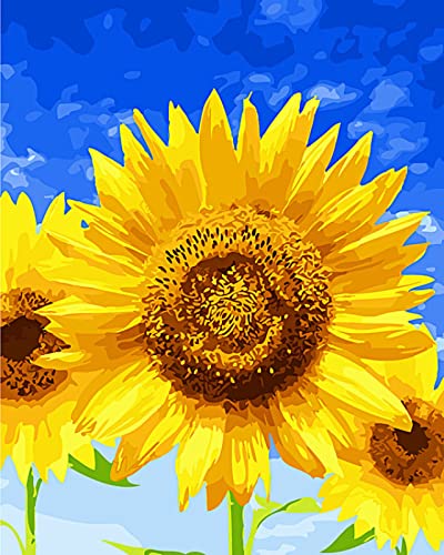 Peinture au diamant 5D tournesol ciel bleu | Kit art strass broderie déco maison 30x40cm