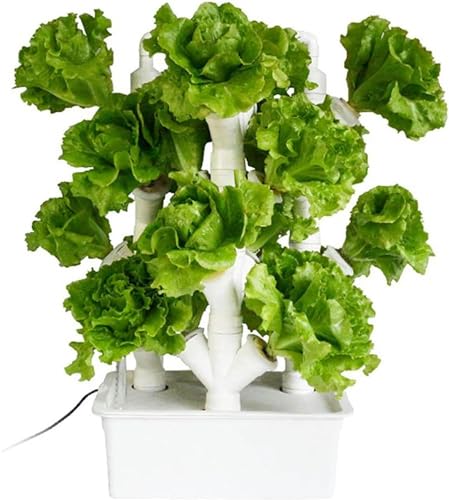 Kit hydroponique en tuyaux PVC pour potager de légumes à feuilles