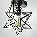 AXILAND Industrial Black Copper Moravian Star Ceiling Light 12-inch, Clear Glass Shade 1-Light Fixture