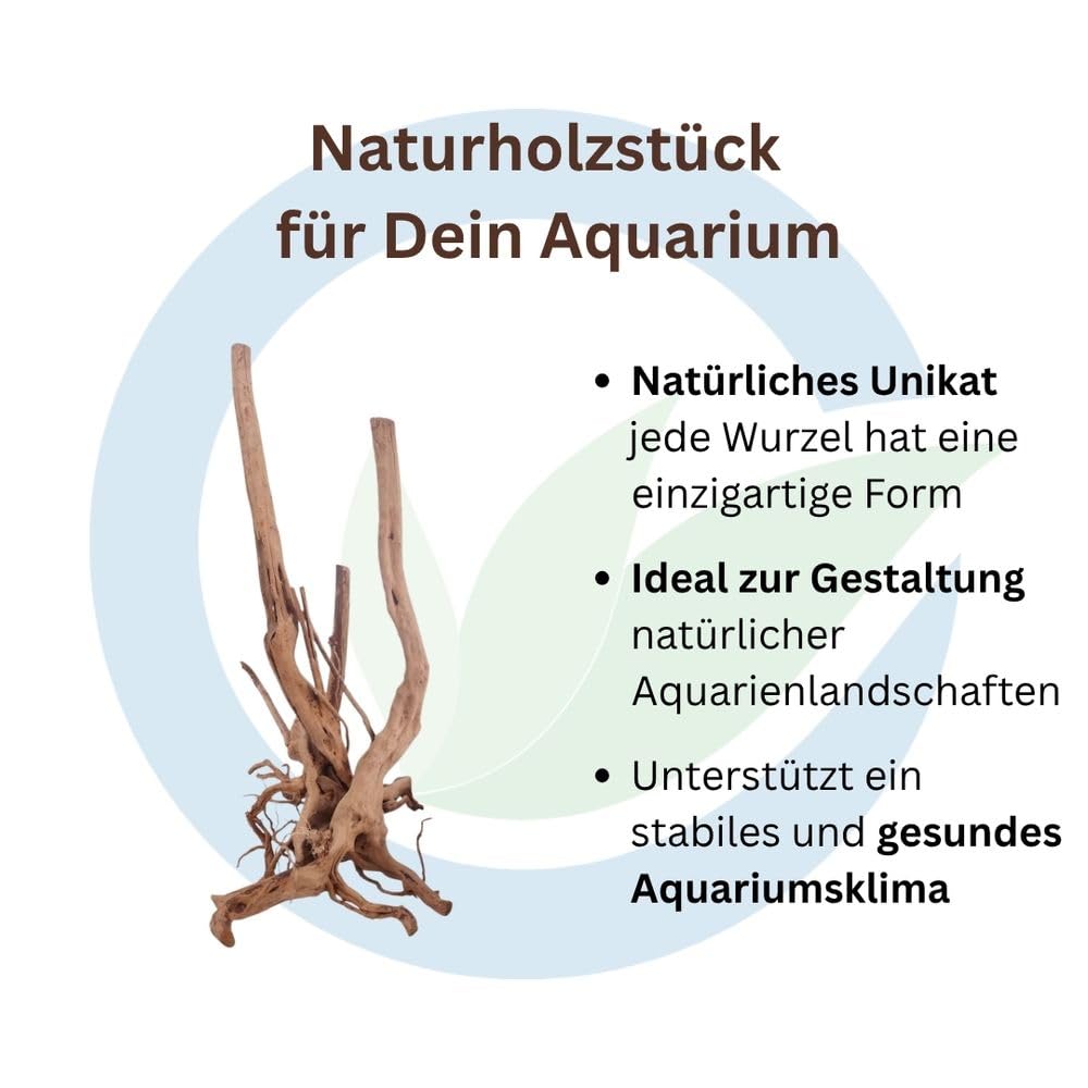 AquaOne Stump Wurzel L 1 Stück Aquarium Wurzel Holz Deko Aquascaping Dekoration Landschaft Mangrove Moorkien Moorwood Moos Natur Echtholz