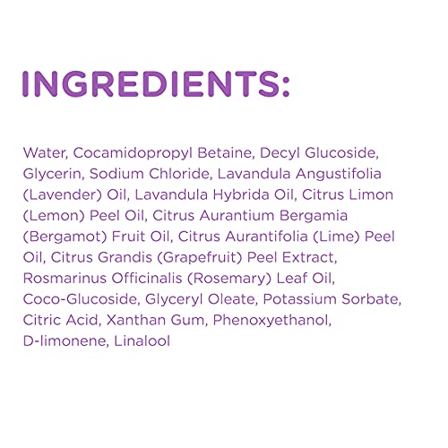 Sapadilla Sweet Lavender + Lime Biodegradable Liquid Hand Soap Pump, 12 Ounce, (Pack Of 2) #TOP7